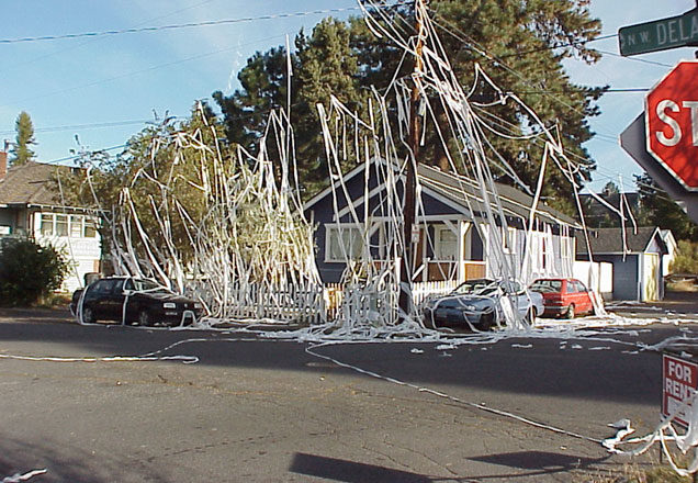 Toilet Papered House